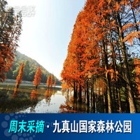 蔡甸九真山度假